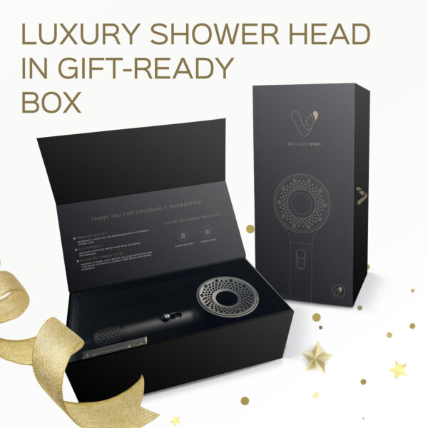 2-Mode Luxury High-Pressure Shower Head